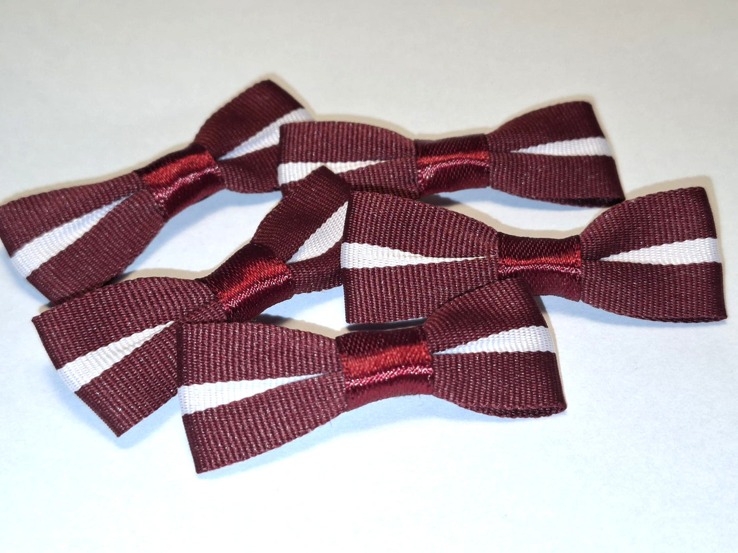 mini LATVIJA piespraude