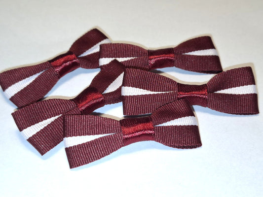 mini LATVIJA piespraude